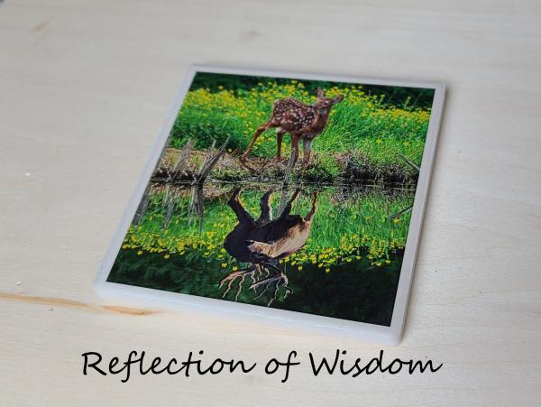 Wildlife Ceramic Coasters picture