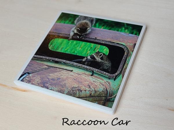 Wildlife Ceramic Coasters picture