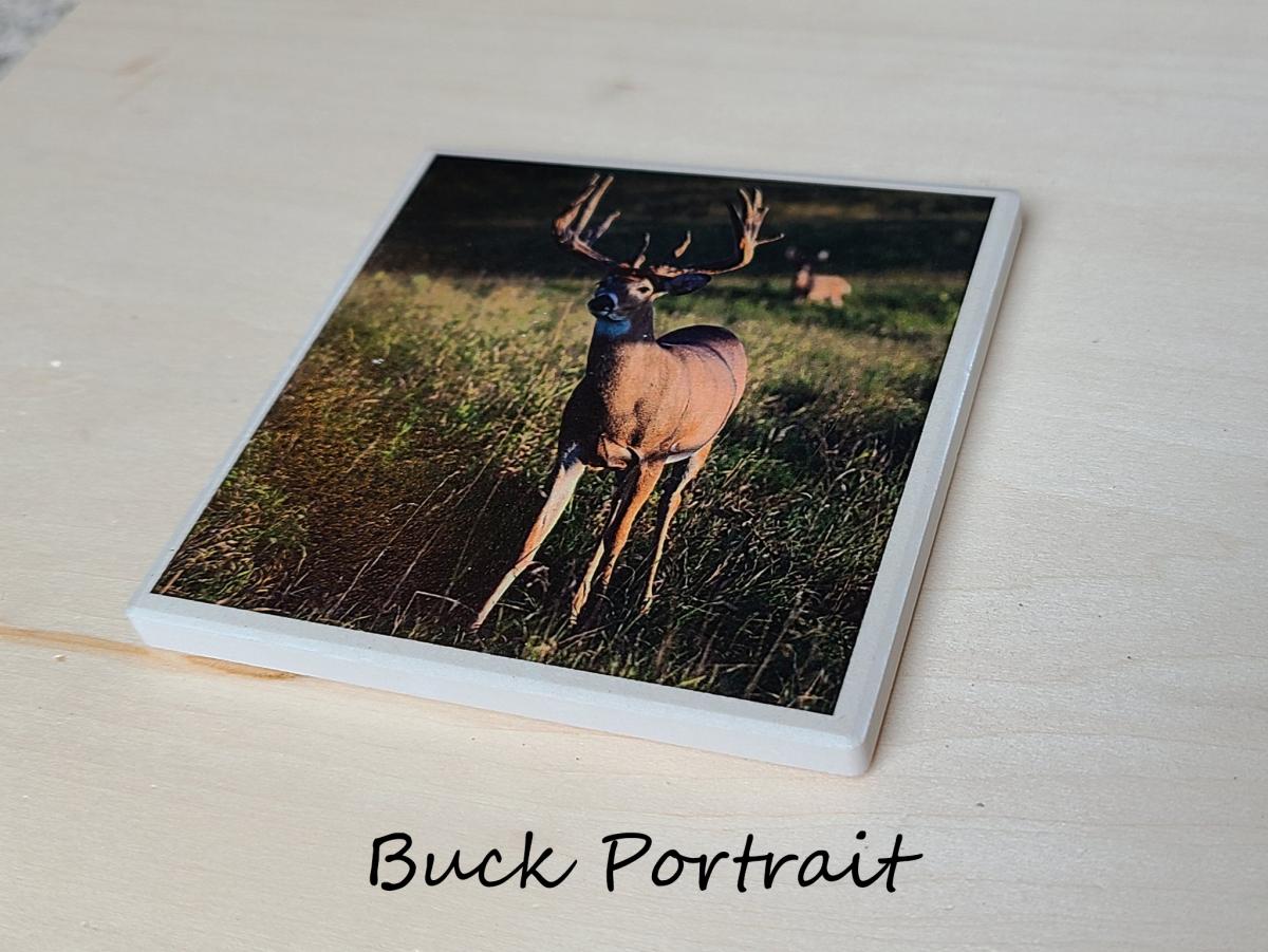 Wildlife Ceramic Coasters picture