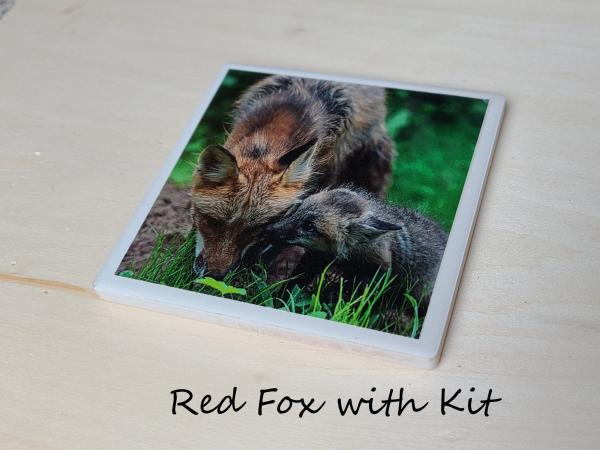 Wildlife Ceramic Coasters picture