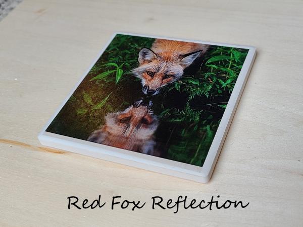 Wildlife Ceramic Coasters picture