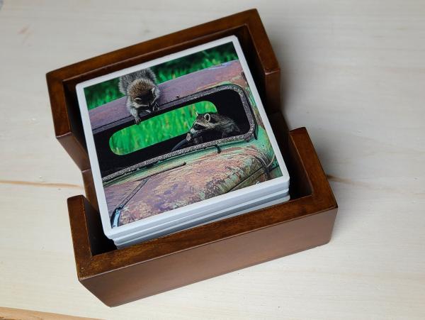 Wildlife Ceramic Coasters picture