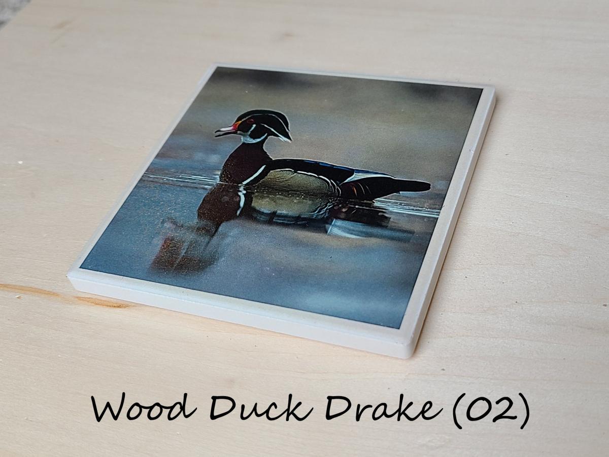 Wildlife Ceramic Coasters picture