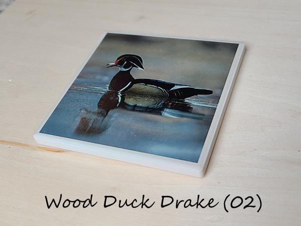 Wildlife Ceramic Coasters picture