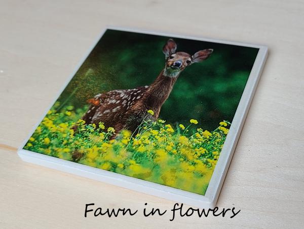 Wildlife Ceramic Coasters picture