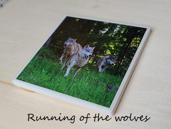 Wildlife Ceramic Coasters picture