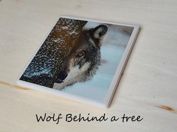 Wildlife Ceramic Coasters picture