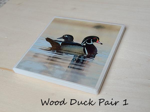 Wildlife Ceramic Coasters picture