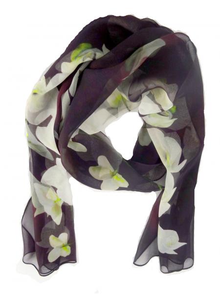 White Tropical Orchids on Burgundy Merlot