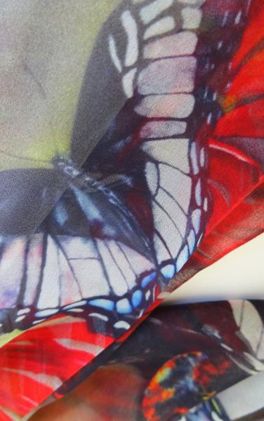 Cone Flowers, Sand Sheer Silk Scarf picture