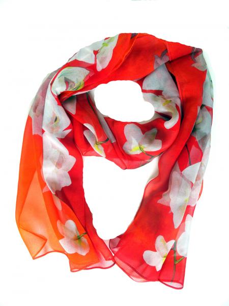 White Tropical Orchids on Burnt / Tangerine Orange picture