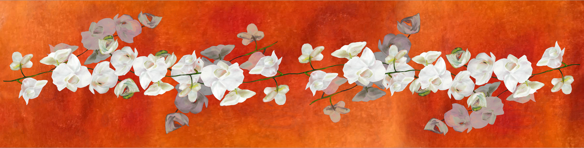 White Tropical Orchids on Burnt / Tangerine Orange picture