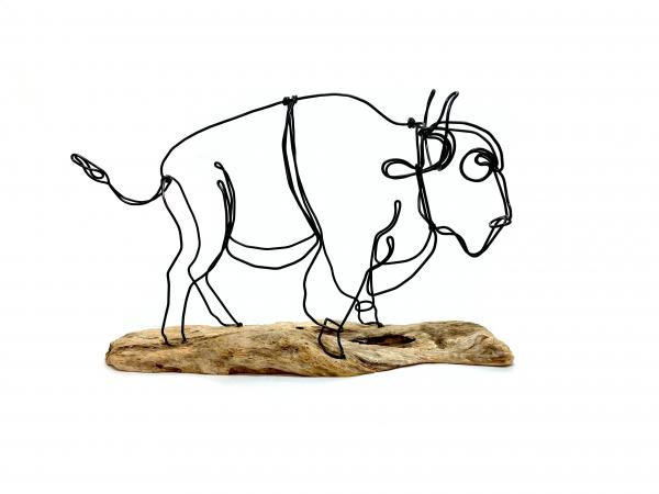 Buffalo Wire Sculpture picture