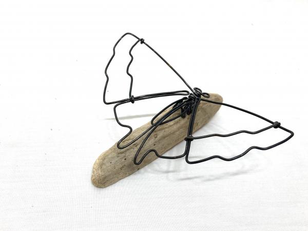 Butterfly Wire Sculpture picture