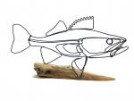 Walleye Wire Sculpture