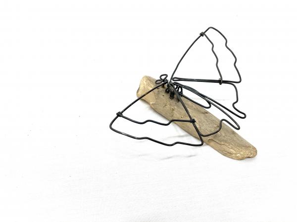 Butterfly Wire Sculpture picture