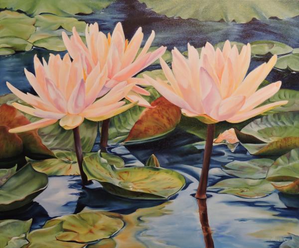 Waterlilies picture