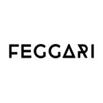 Feggari LLC
