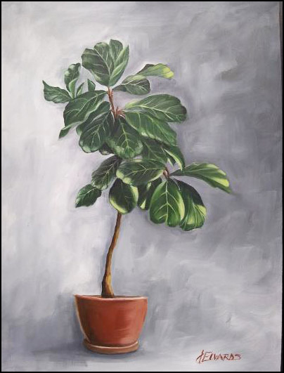 Fiddle Leaf picture