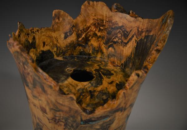 Buckeye Burl  Vase with turquoise inlay picture