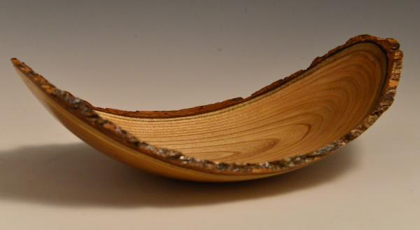 Wings of Morning Natural Edge bowl picture