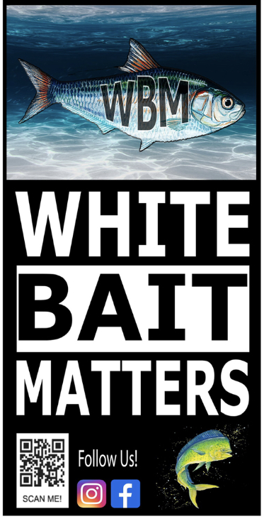 White Bait Matters