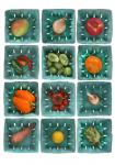 Veggie Cartons - P4 - 8X10 matted 11X14