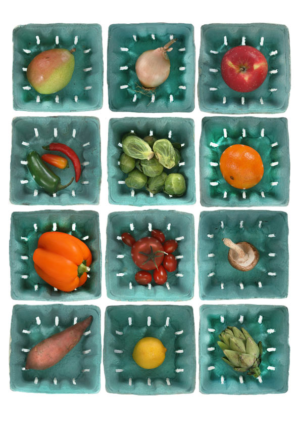 Veggie Cartons - P4 - 8X10 matted 11X14 picture