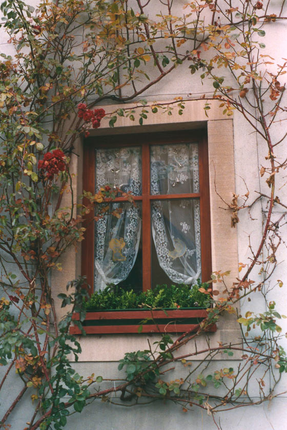 Rothenburg Window P271 - 11X14 matted 16X20 picture