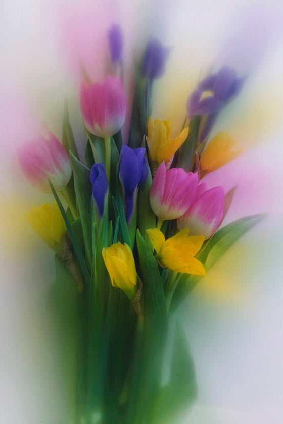 Spring Bouquet - P93 - 5X7 matted 9X12 picture