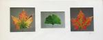 Three Leaves - TR11 - Framed