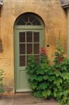 Hollyhock Door - P58 - 8X10 matted 11X14