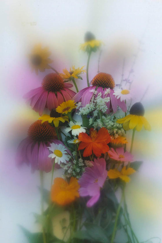 Summer Bouquet - P90 - 5X7 matted 9X12 picture