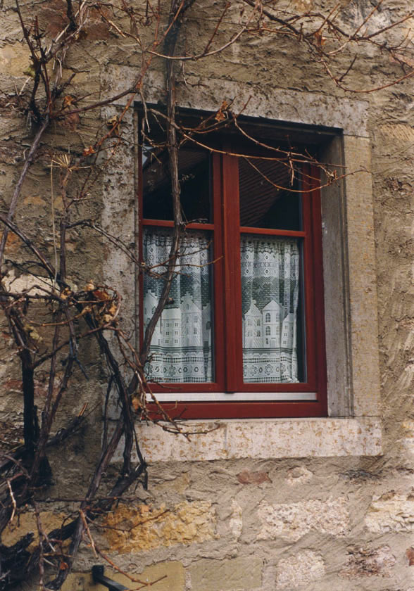 Rothenburg Window P272 - 5X7 matted 9X12