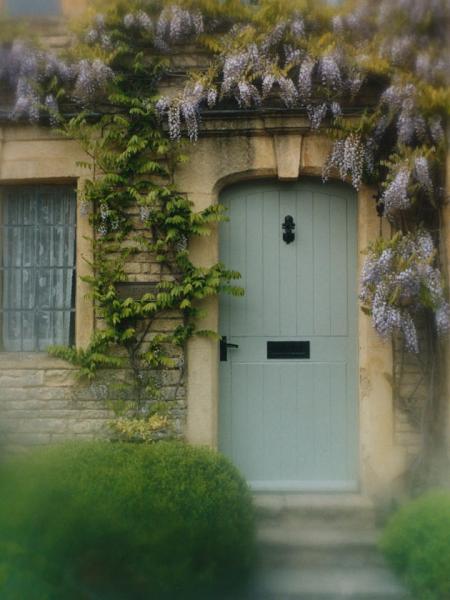 Wisteria Door - P136 - 11X14 Framed 16X20 picture