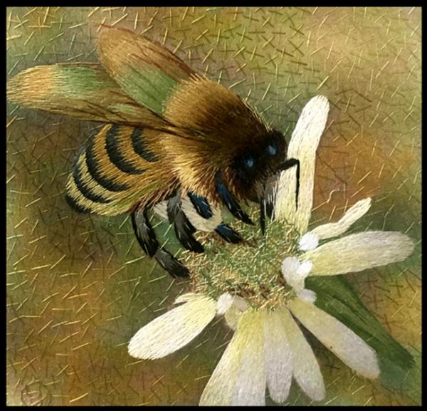 Bee picture