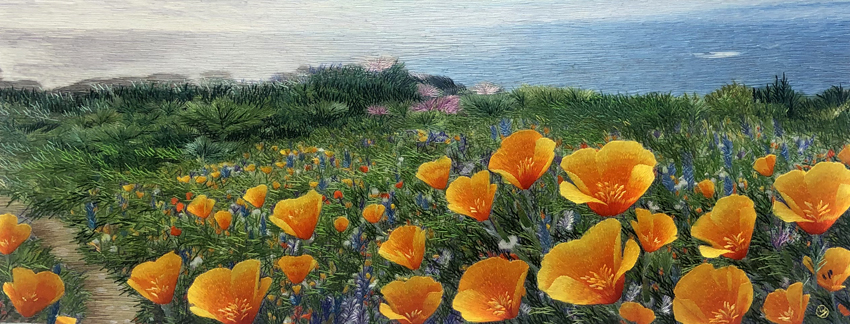 California Poppies