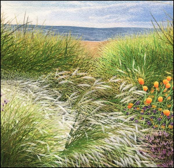 Sea Grasses picture
