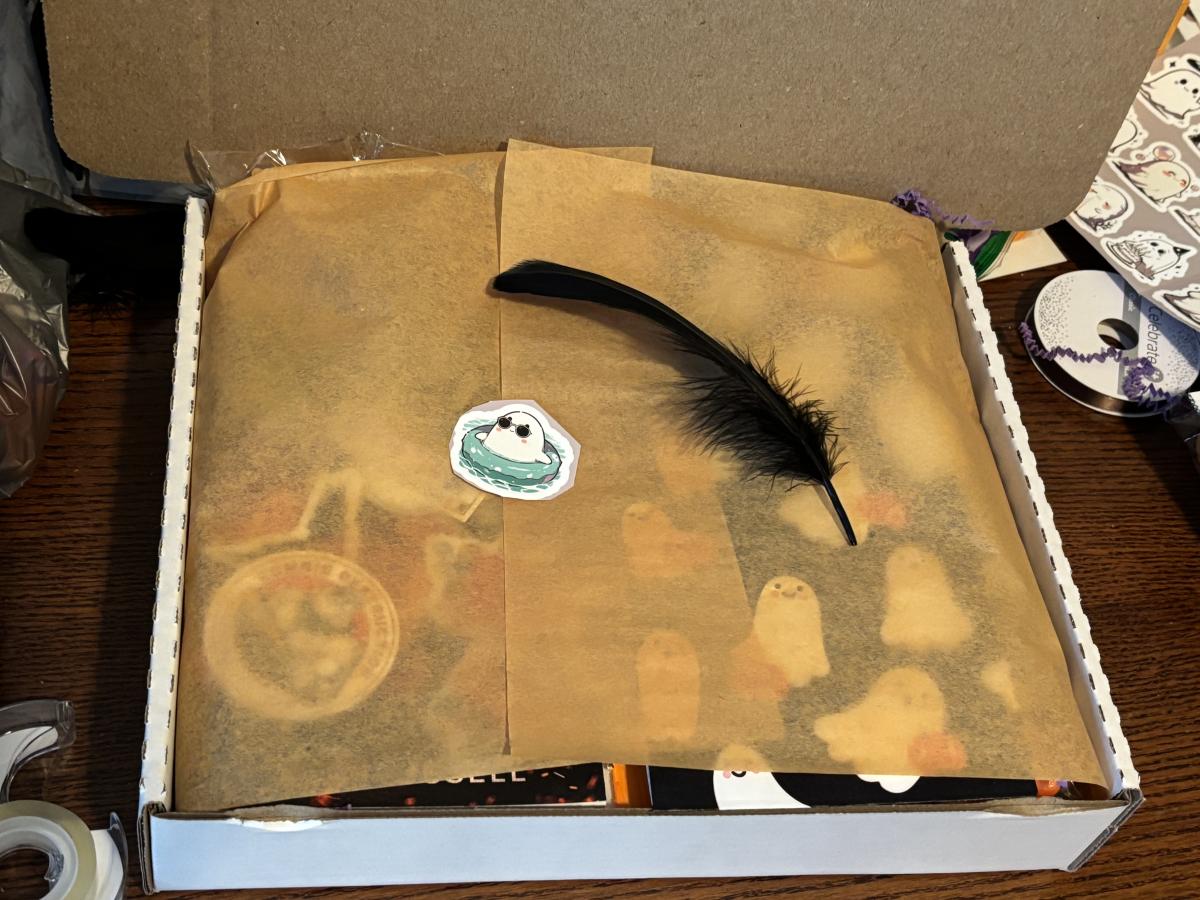 Love and Zombies Book Box picture