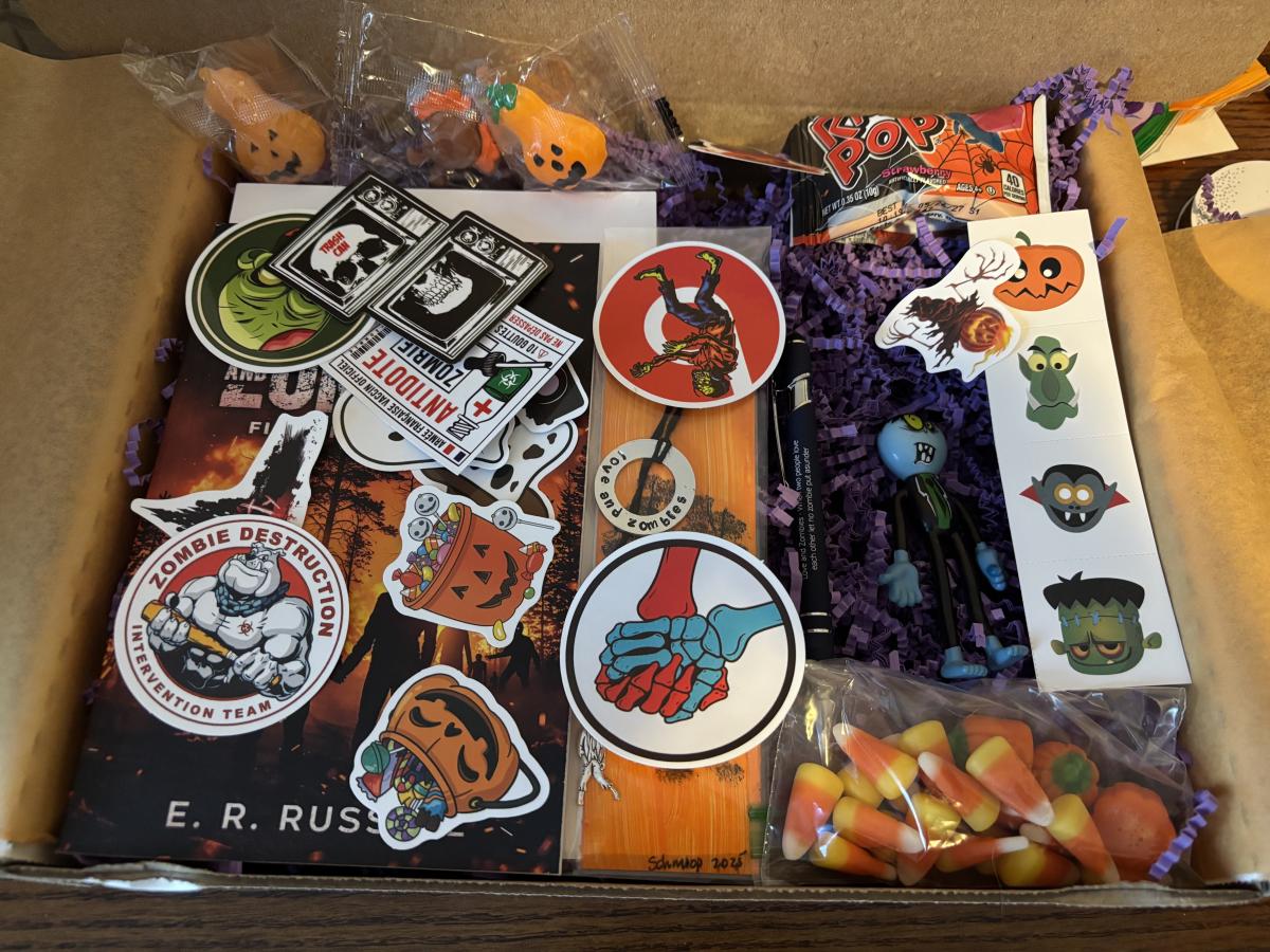 Love and Zombies Book Box picture