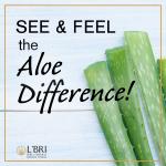 Pure N Natural Aloe Skin care