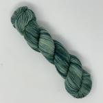 Biota on Super Worsted