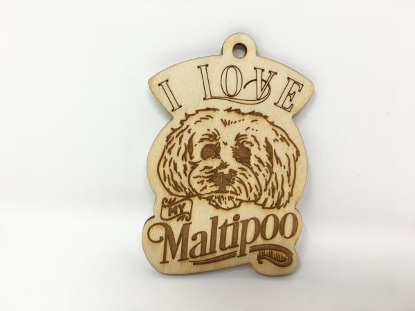 G. Love My Maltipoo picture