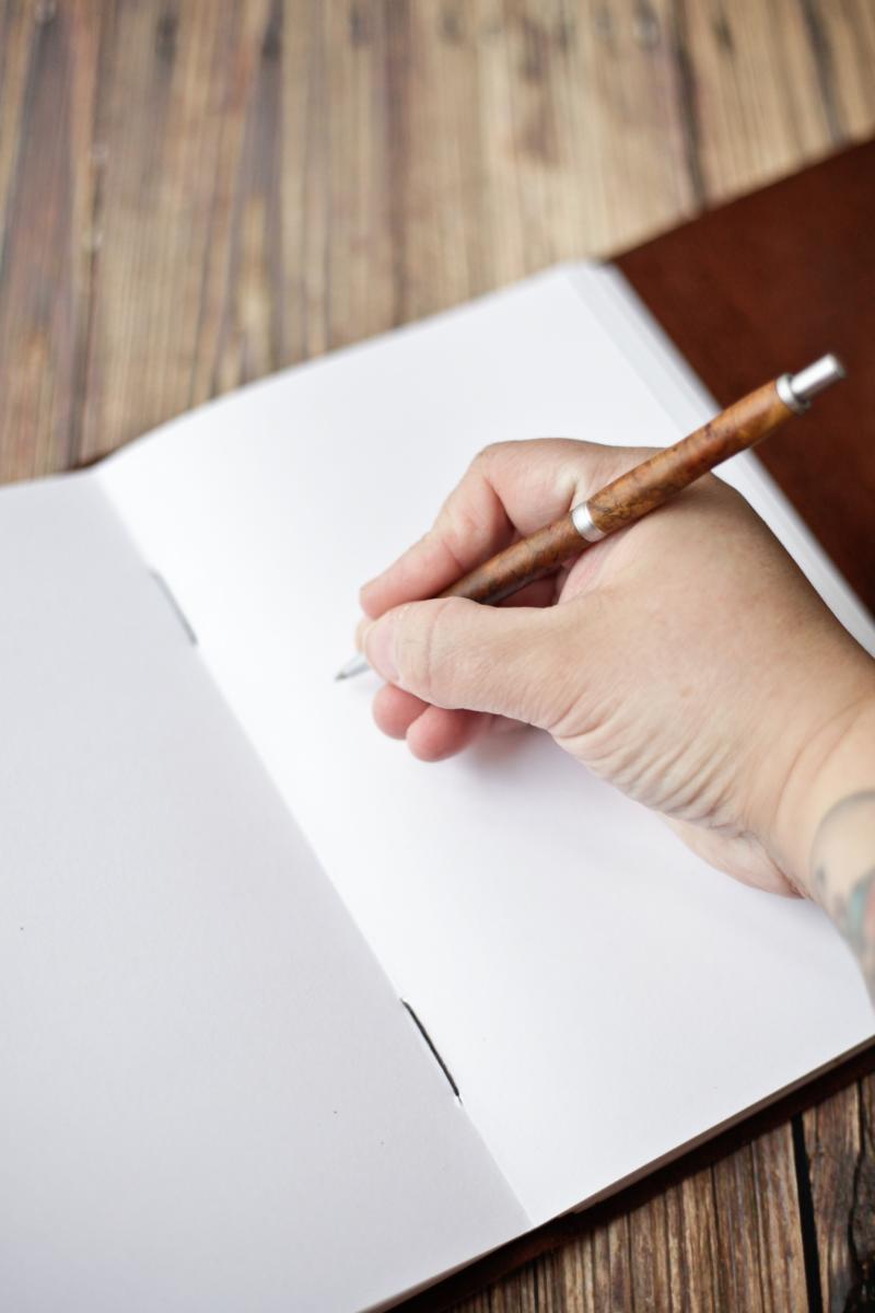 Large Leather Journal Sketchbook with Blueberry Plant Print picture