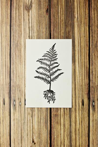Fern Print 4x6 / Unframed Botanical Linocut Print