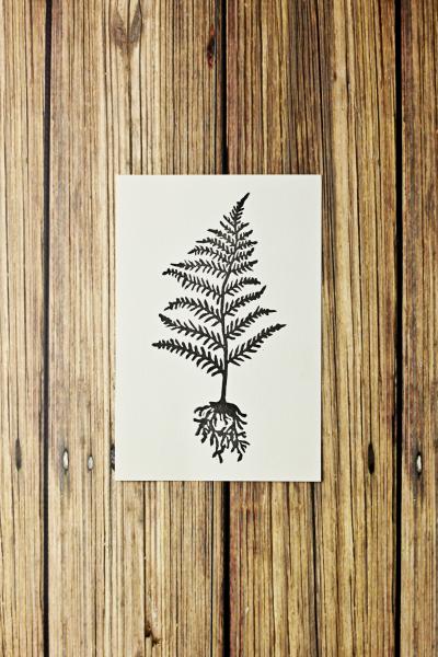 Fern Print 4x6 / Unframed Botanical Linocut Print picture