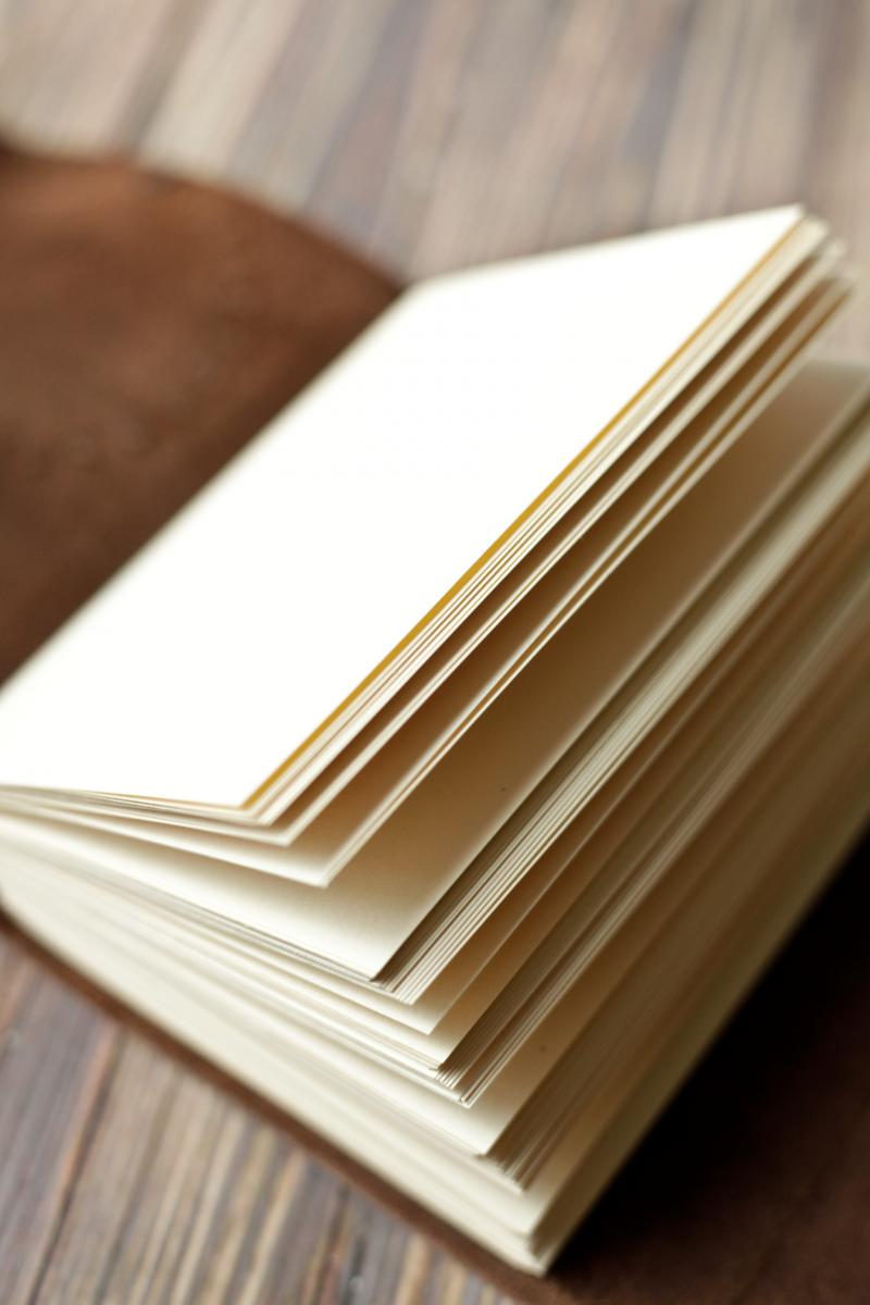 Leather Journal with Compass Design / Blank Cabin Guestbook picture