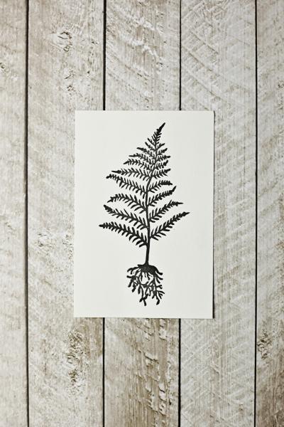 Fern Print 4x6 / Unframed Botanical Linocut Print picture