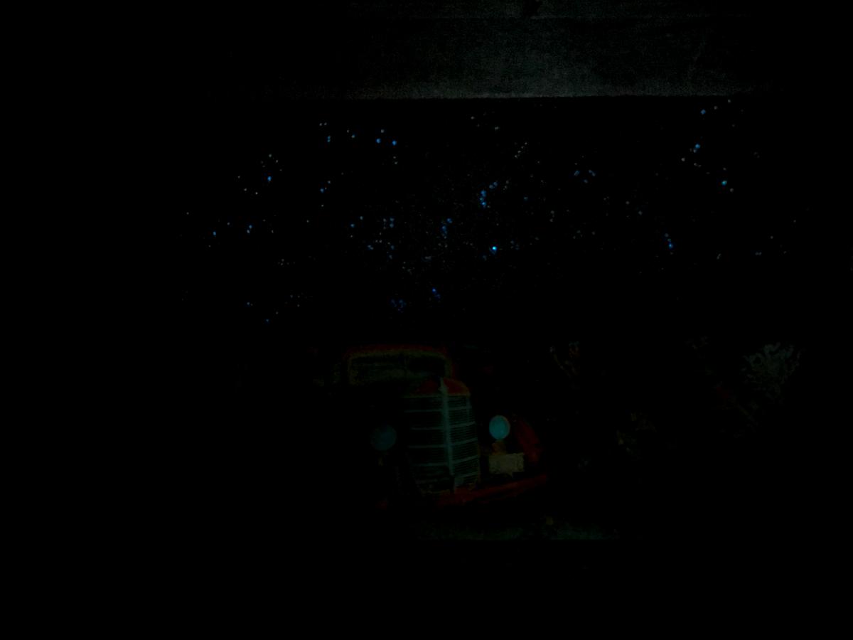 Joshua Tree Truck picture