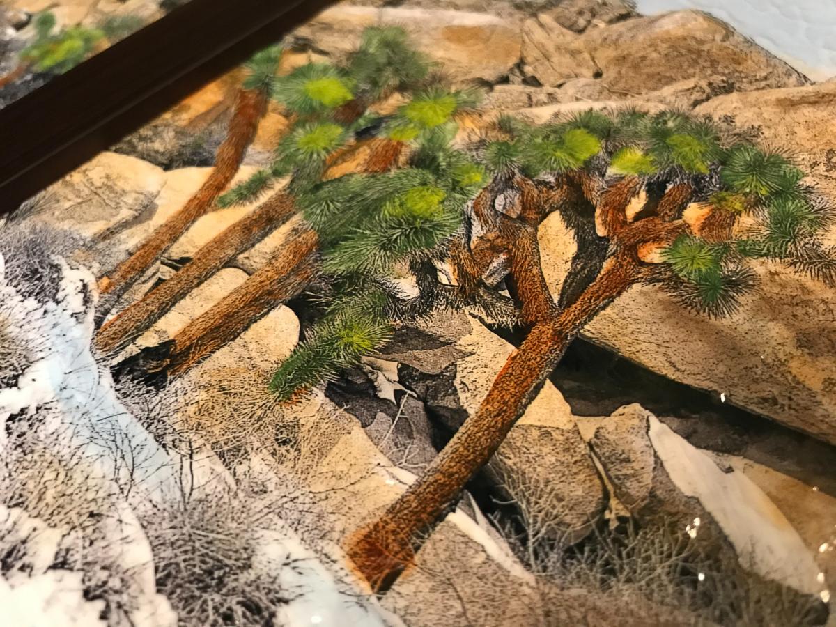 Joshua Tree Snow picture